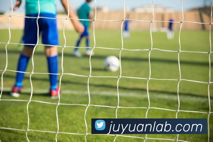 App Interface Preview