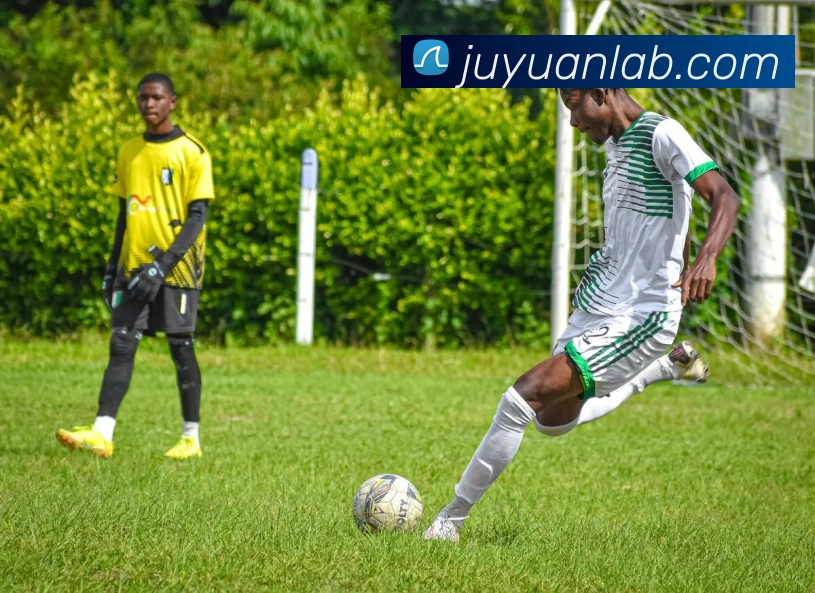 开云在线登录入口官网APP 封面图